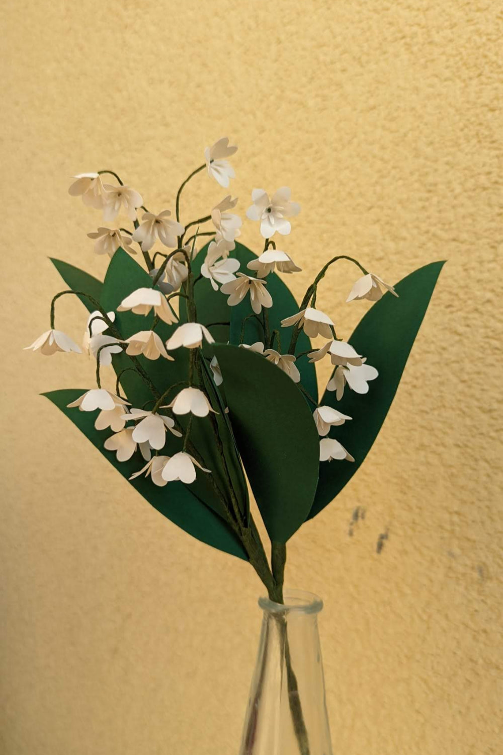 Lily of the valley