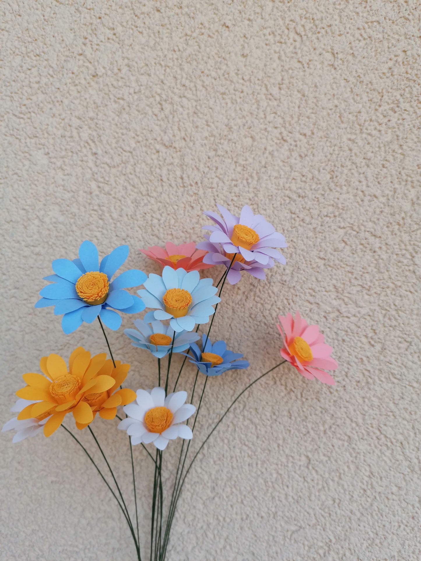 Daisy