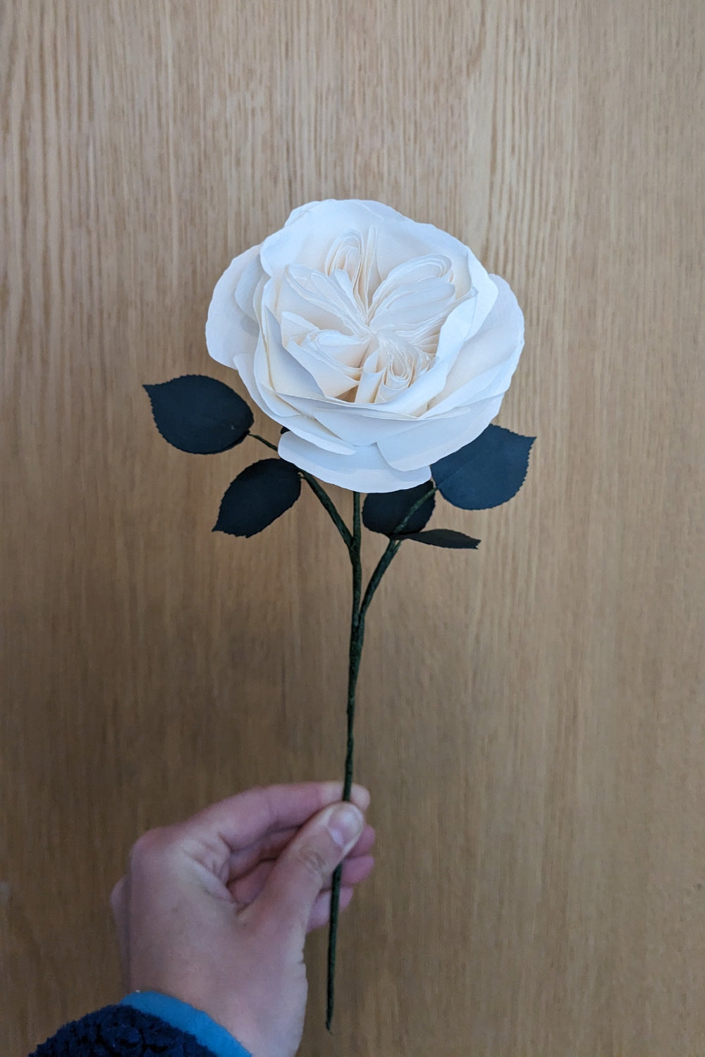 English Rose