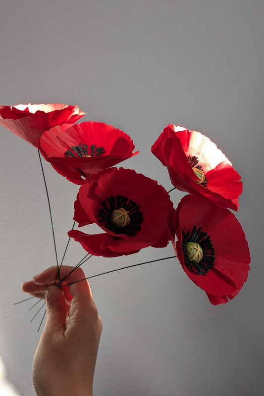 Poppy